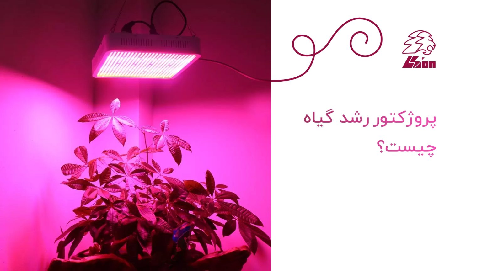 پروژکتور رشد گیاه چیست؟